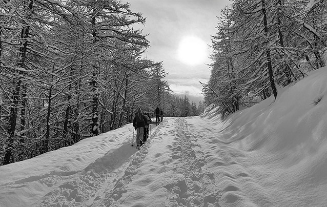 Transfert Stations de Ski Côte d'Azur